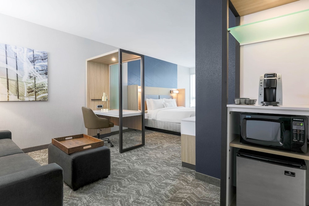 SpringHill Suites by Marriott San Jose Fremont - photo 11
