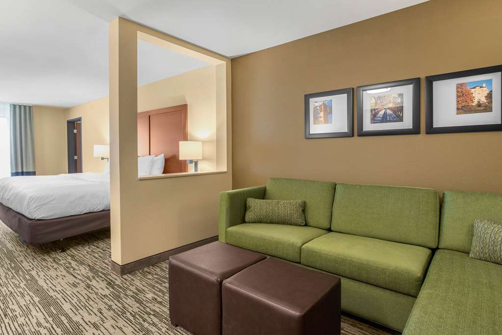 Comfort Inn and Suites Ames near ISU Campus - photo 19