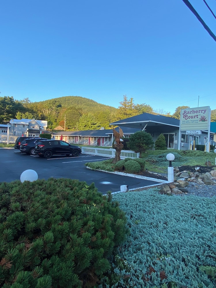 Barberry Court Motel - photo 25