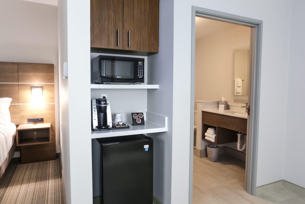 Holiday Inn Express & Suites Houston IAH Beltway 8 by IHG - photo 12