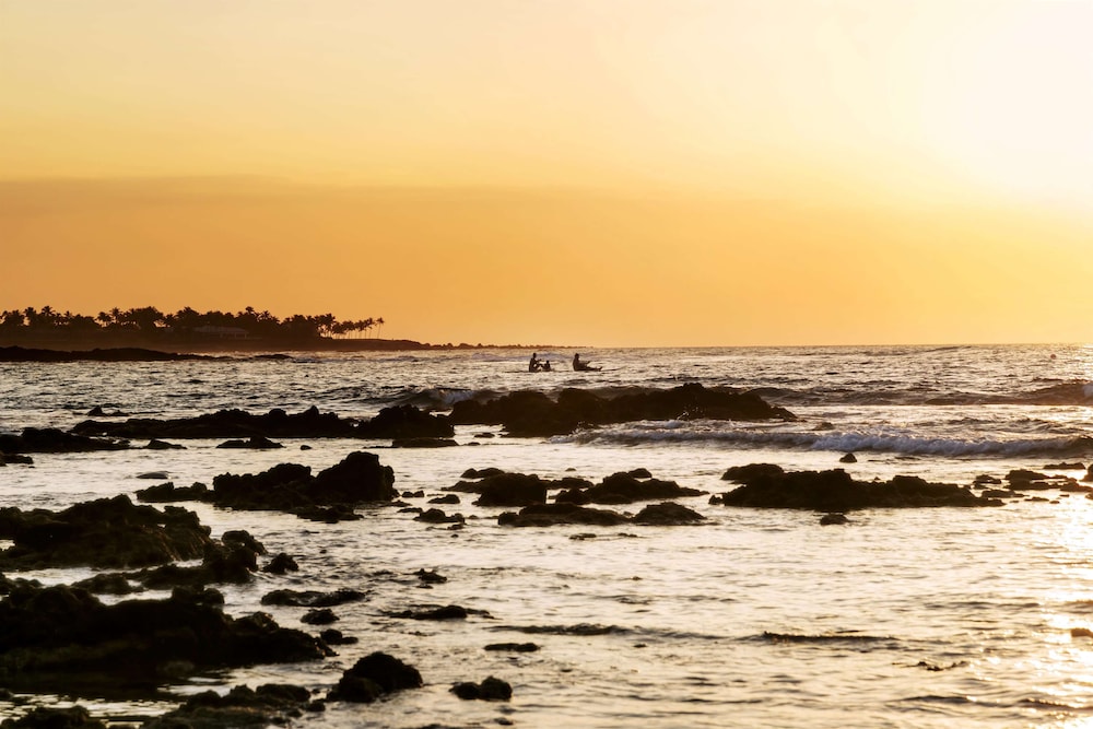 Fairmont Orchid - photo 79