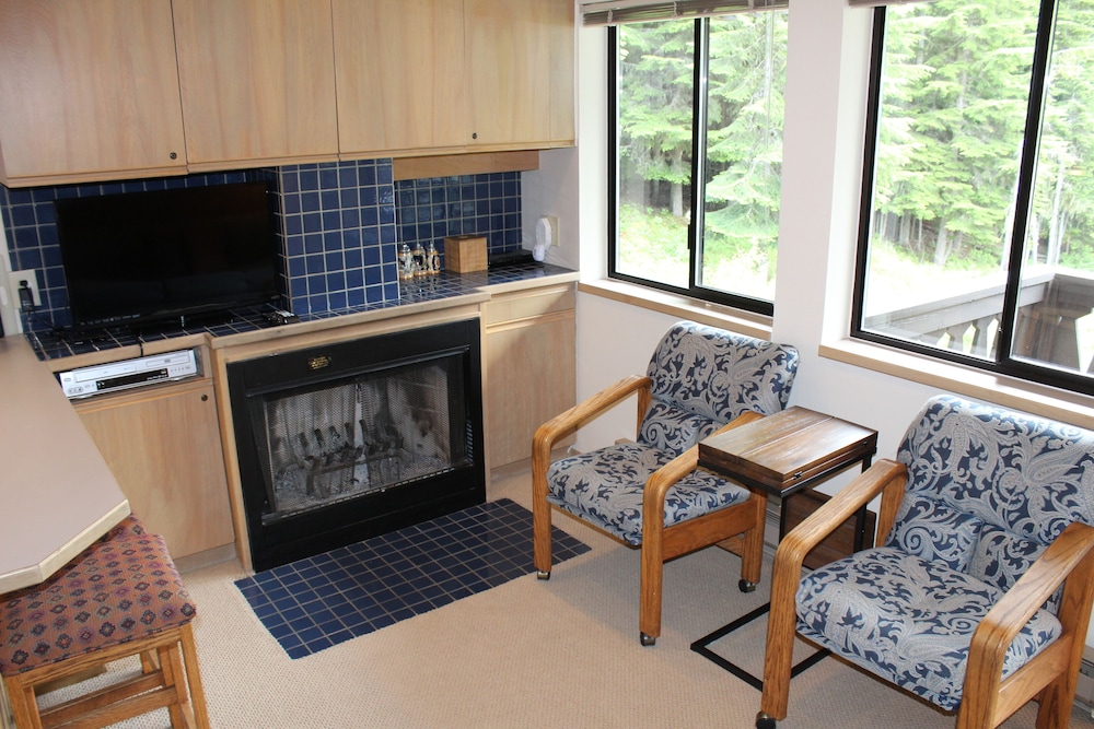 Crystal Chalets Condominiums at Crystal Mountain Ski Resort - photo 120