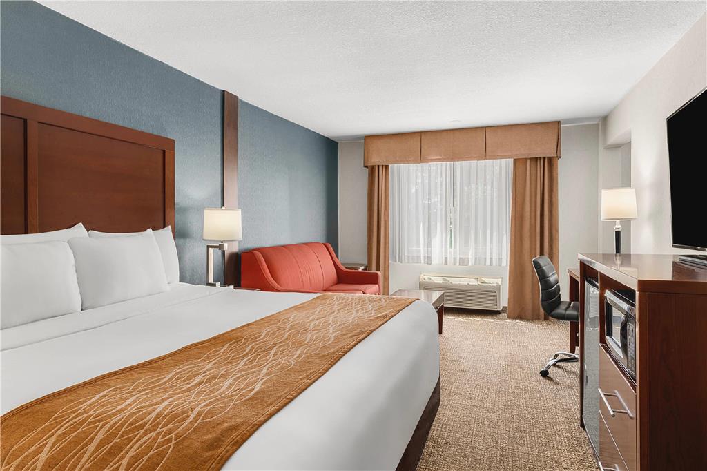 Comfort Inn & Suites Vancouver Downtown City Center - photo 28