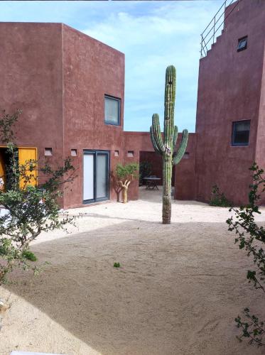 Casita Nacui 2 in Unknown City, Mexico