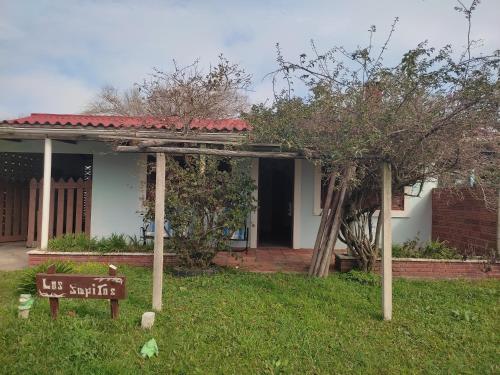 Los Sapitos Barra Del Chuy — Dieciocho De Julio