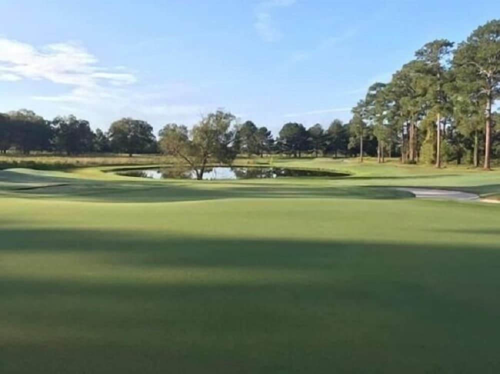 Blueberry Plantation Golf Resort - photo 9