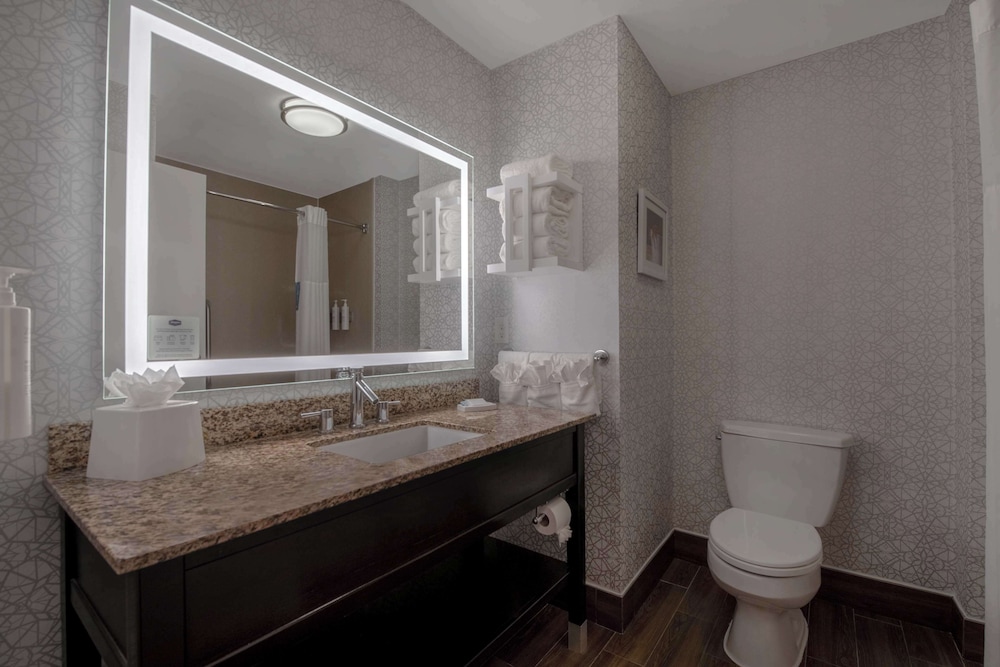 Hampton Inn & Suites Harvey New Orleans West Bank - photo 23