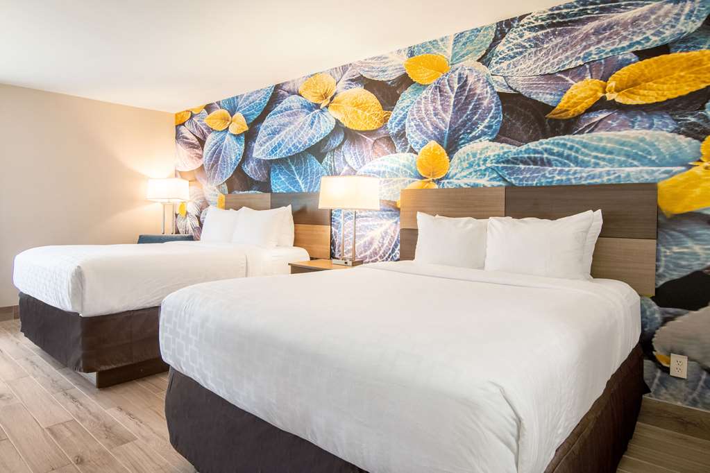 Clarion Pointe South Boston Danville East - photo 6