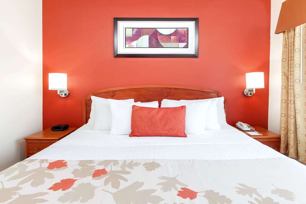 Hawthorn Suites by Wyndham Irving DFW South - photo 13