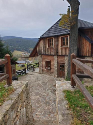 Berry in Klatovy, Czech Republic