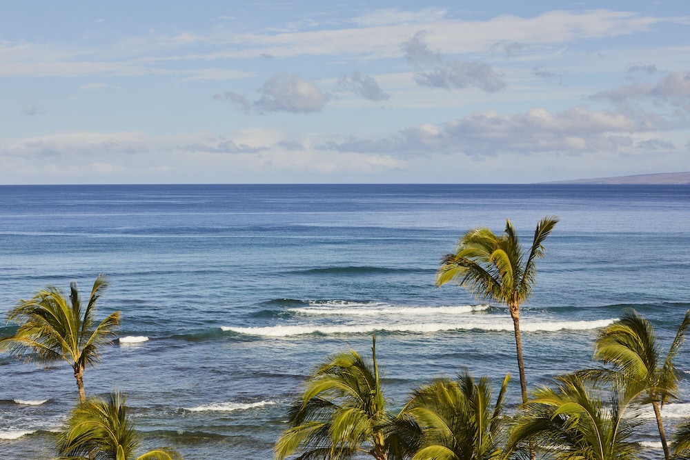 Mauna Lani Auberge Collection - photo 118