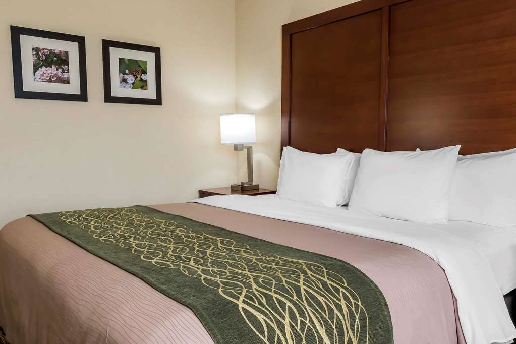 Comfort Inn Pocono Mountains - photo 10