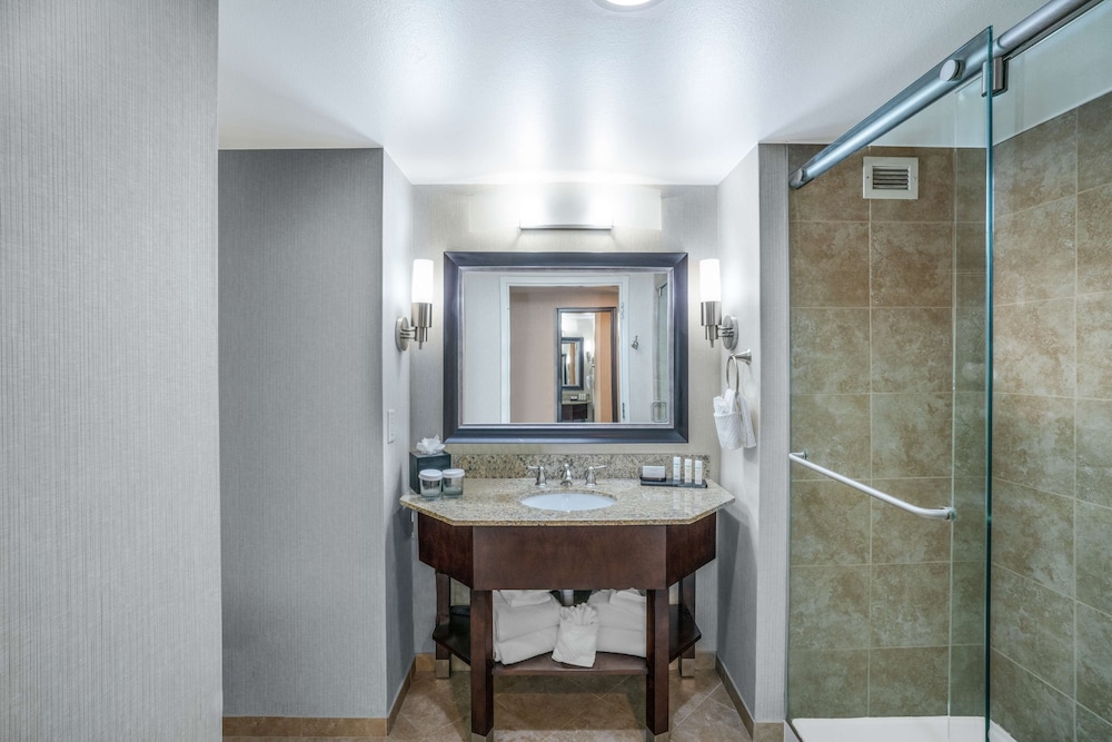 Embassy Suites by Hilton Nashville at Vanderbilt - photo 19