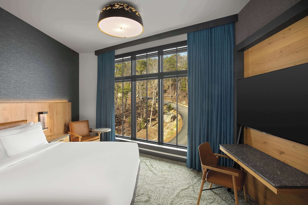 Cloudland at McLemore Resort Lookout Mountain Curio by Hilton - photo 53