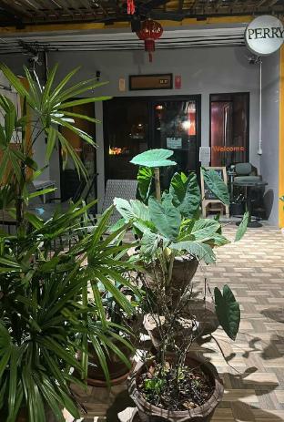 Perry's X Kcd - carbon neutral hotel in Phuket