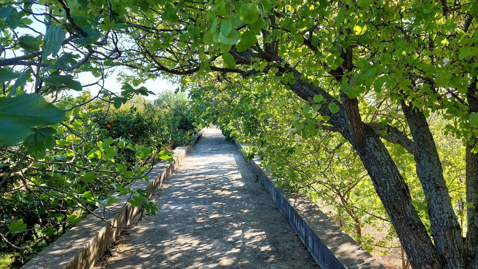 Bella Cisterna — Chios — photo 4