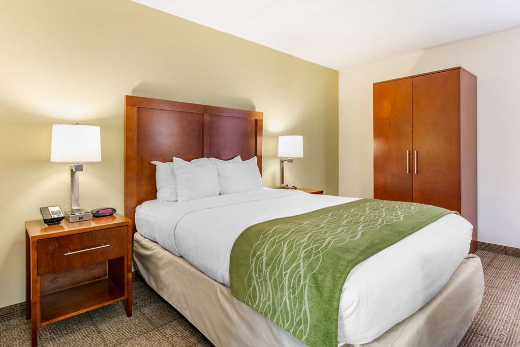 Comfort Inn Chattanooga Downtown Southside - photo 14