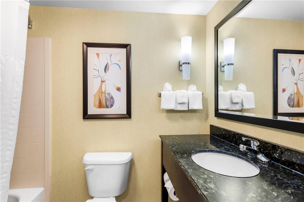 Comfort Suites Knoxville West Farragut - photo 14