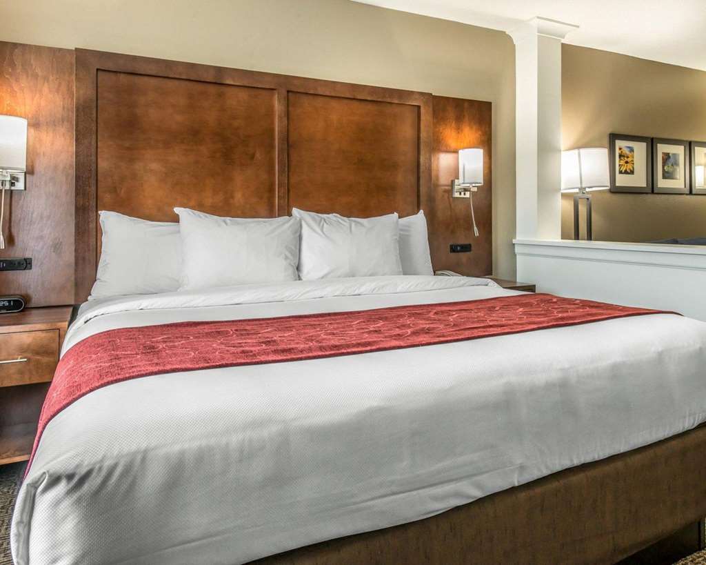 Comfort Suites Dunnellon near Rainbow Springs - photo 10