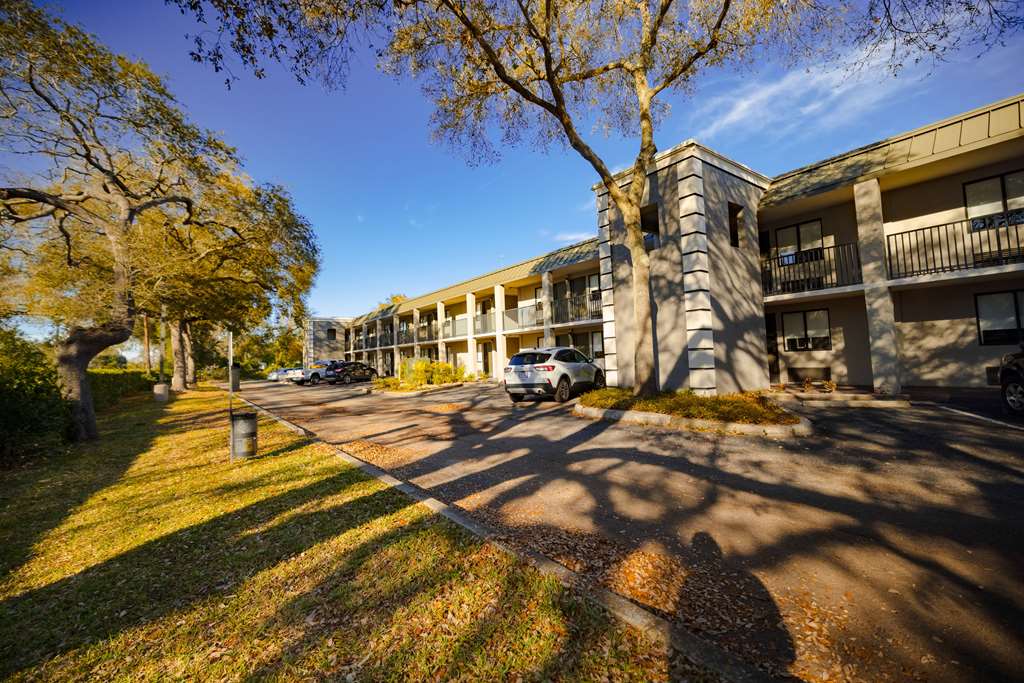 La Quinta Inn by Wyndham Tampa Near Busch Gardens - photo 4