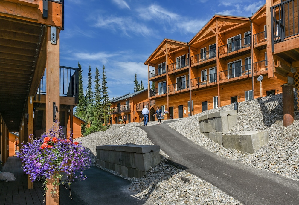 Denali Bluffs Hotel - photo 41