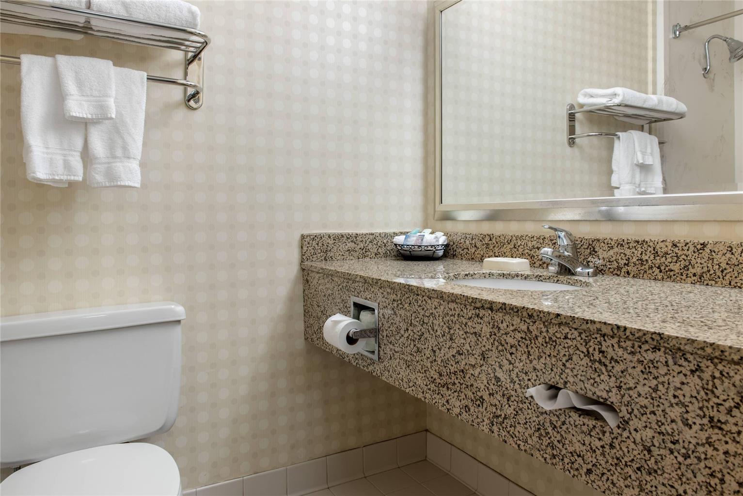 Quality Hotel Conference Center Cincinnati Blue Ash - photo 21