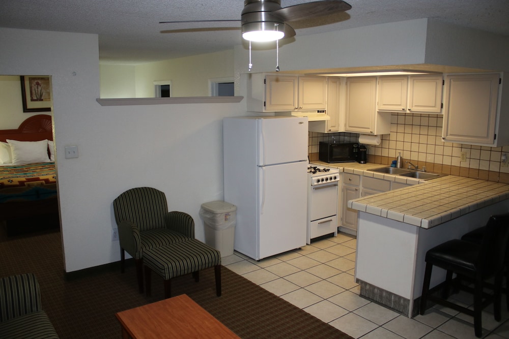 The Classic Desert Aire Hotel - photo 8