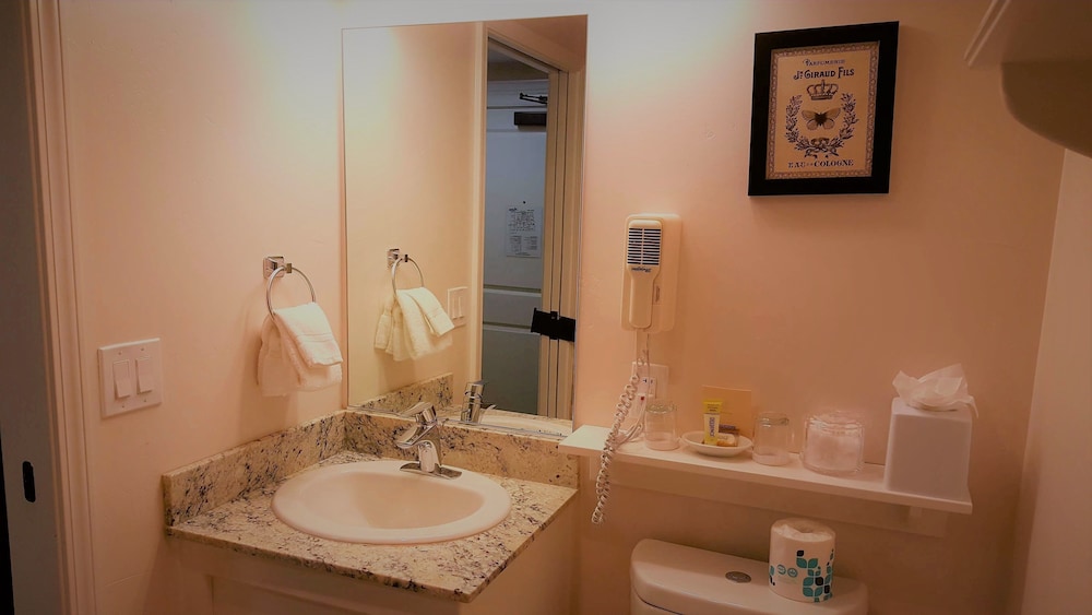 The Monterey Hotel - photo 30