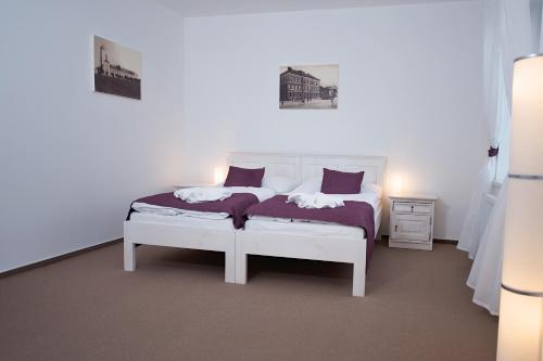 Hotel Slavia — hotel in Svitavy