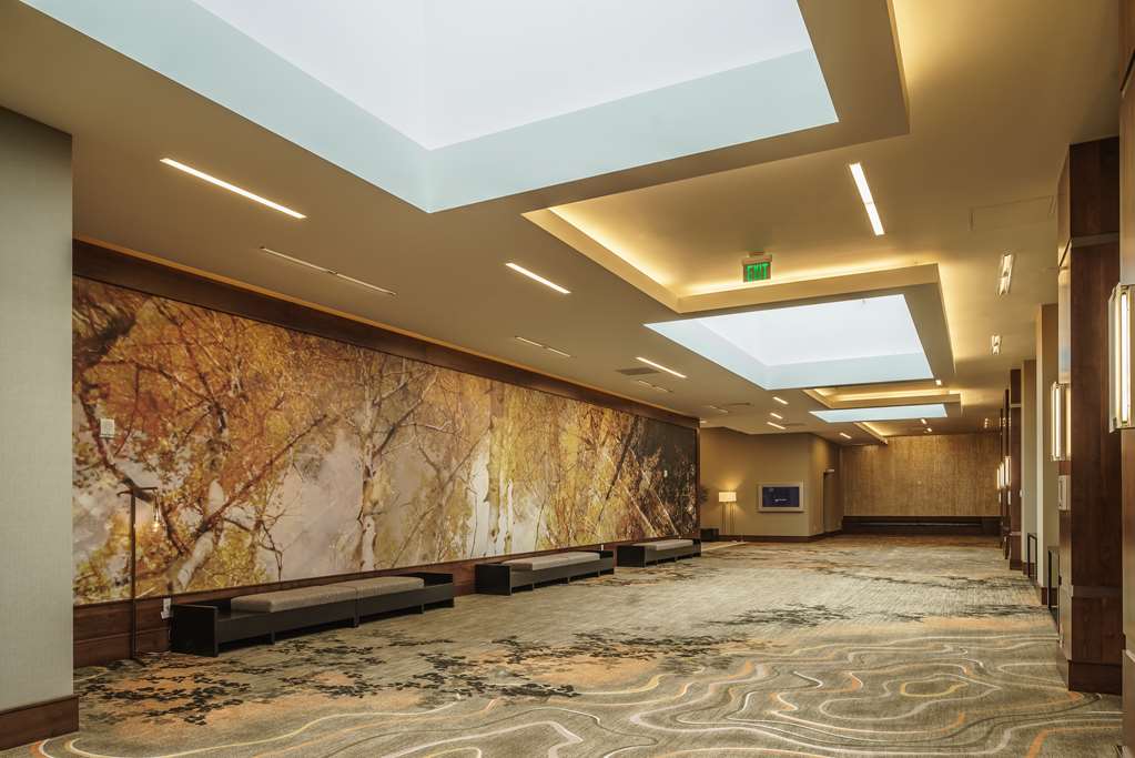 Hyatt Regency Aurora Denver Conference Center - photo 30