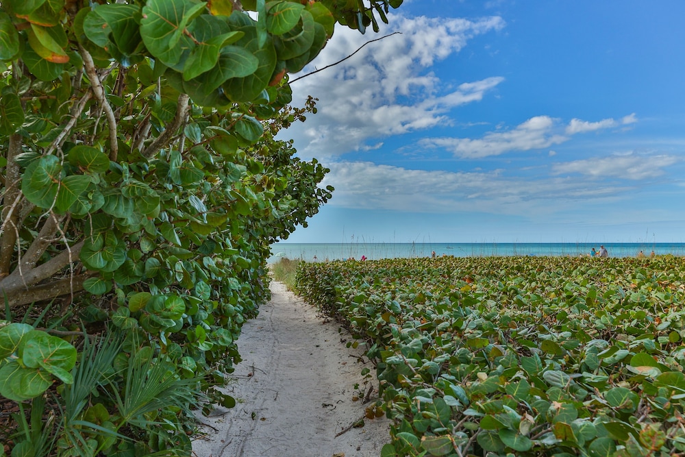 A Beach Retreat - photo 172