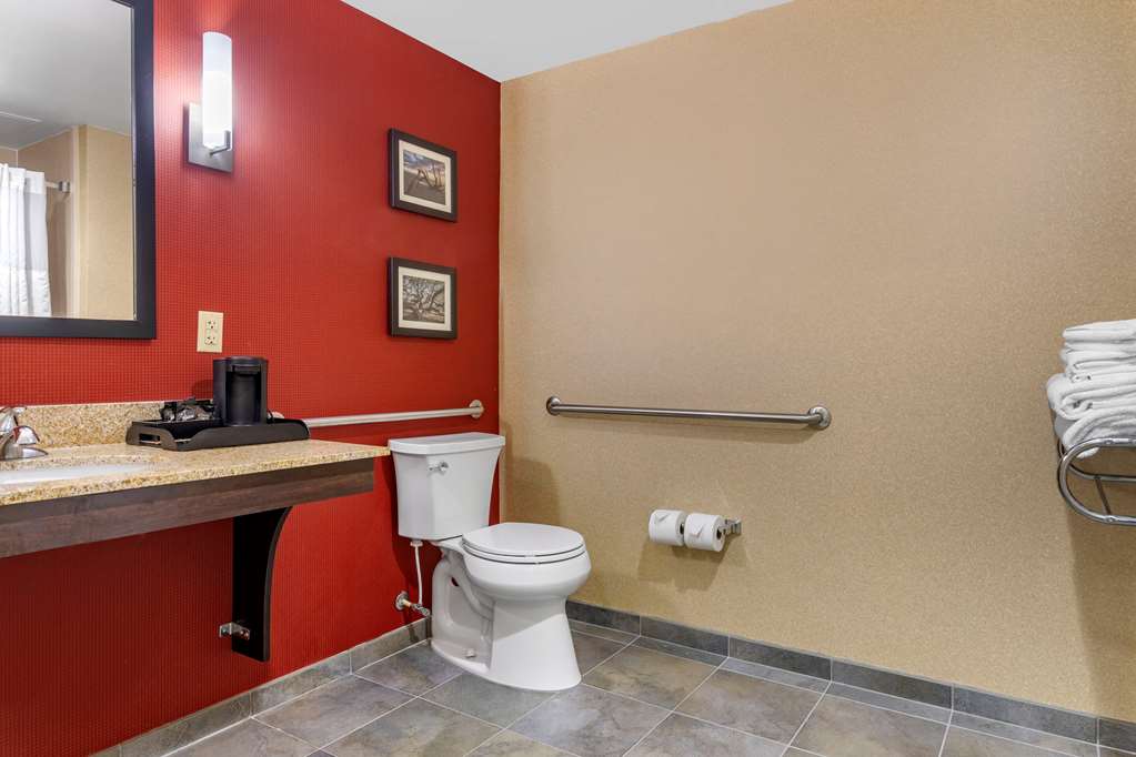 Comfort Suites Florence I 95 - photo 10