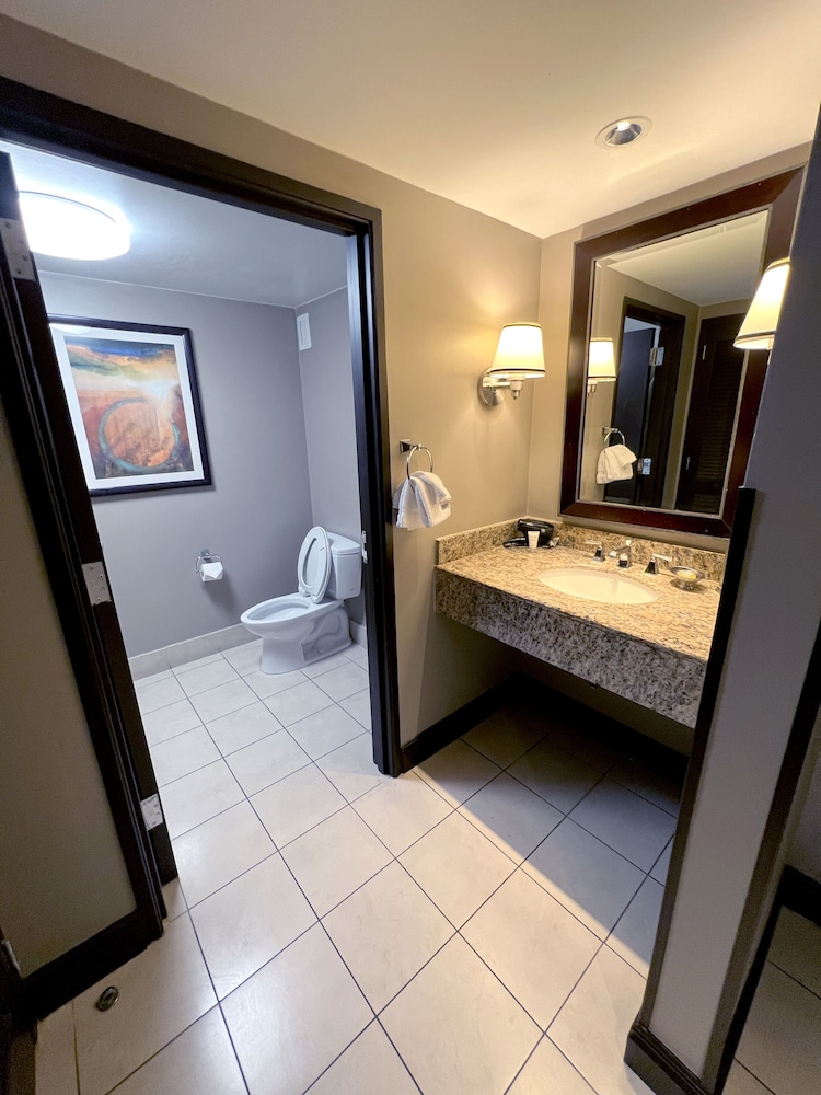 Ameristar Casino Hotel Vicksburg - photo 22