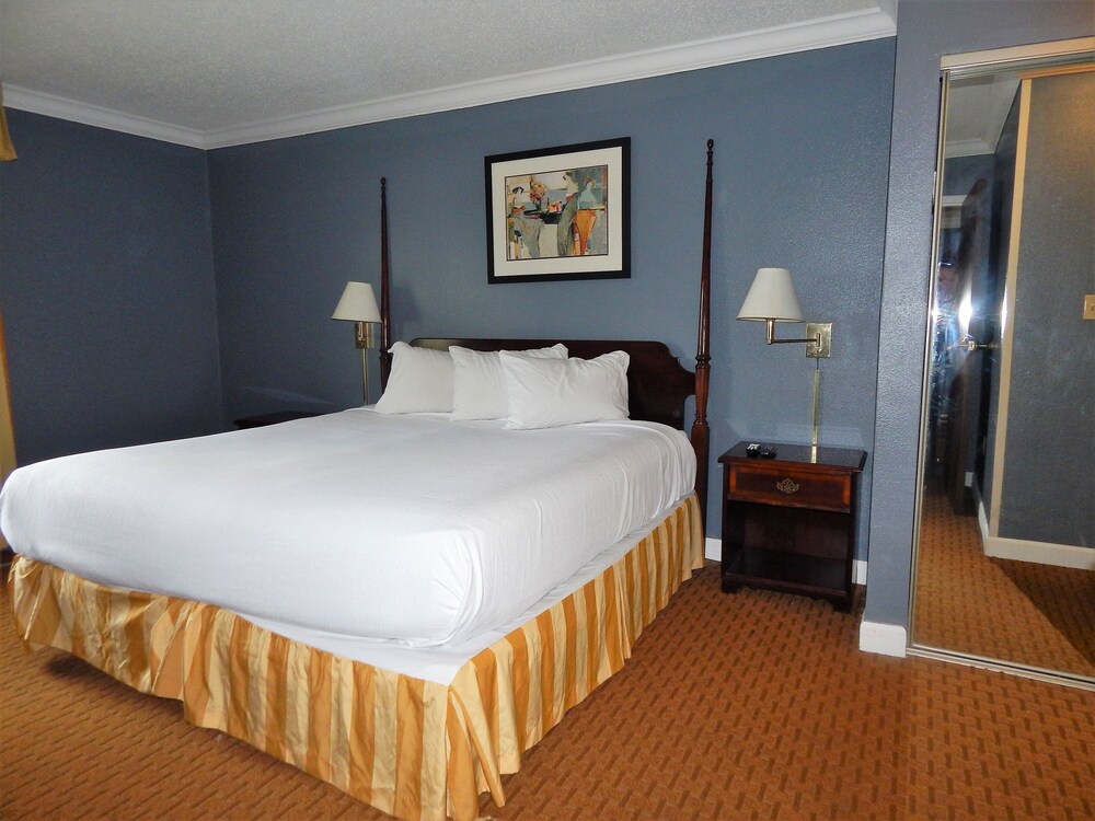 Richmond Suites Hotel - photo 14