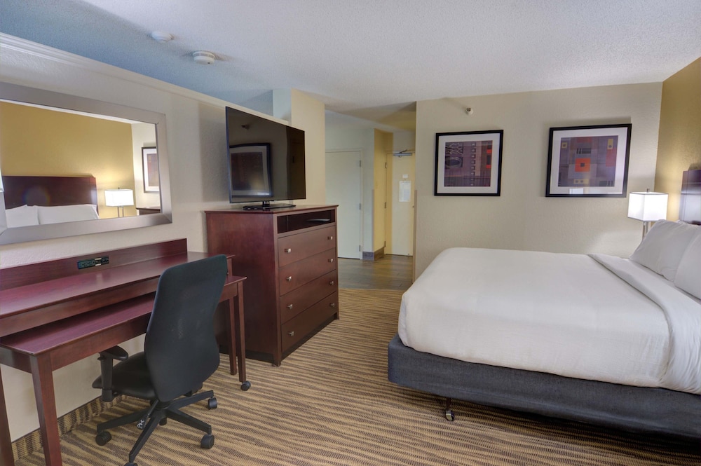 Holiday Inn St Petersburg N Clearwater by IHG - photo 19