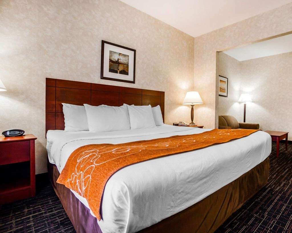 Comfort Suites Independence Kansas City - photo 8