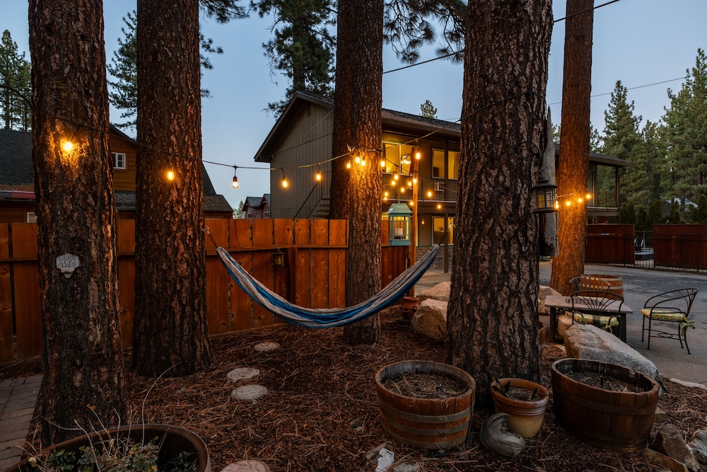 Alder Inn - photo 62