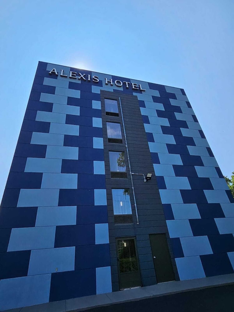 The Alexis Inn & Suites Nashville Airport - photo 54