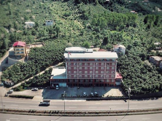Amazon Aretias Hotel — 5-Star Luxury Hotel in Kesap, Turkey