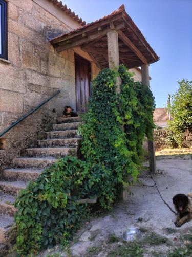 Casal da Gata in Guarda, Portugal