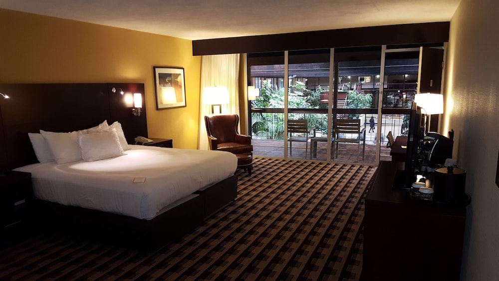M Hotel Buffalo - photo 16