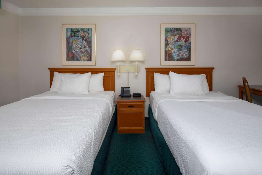 Super 8 by Wyndham Savannah - photo 16