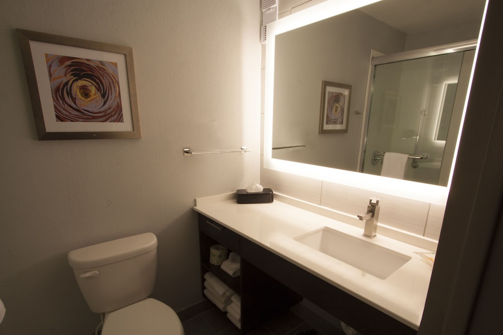 Holiday Inn Alexandria Downtown by IHG - photo 10