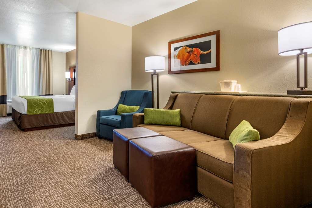 Comfort Suites Fernley - photo 14