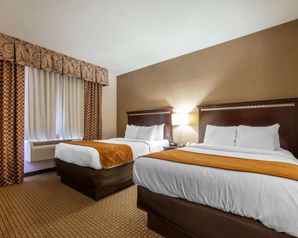 Comfort Suites London South - photo 20