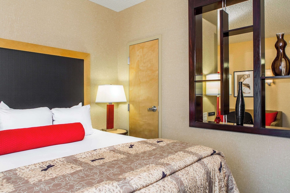 Cambria Hotel Raleigh Durham Airport - photo 7