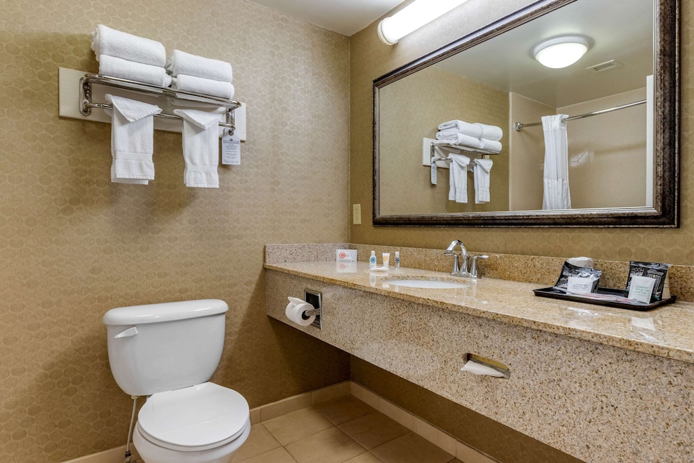 Comfort Inn Warner Robins Robins Air Force Base Area - photo 15