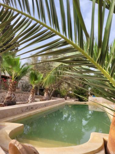 Les Franginesaumaroc — Essaouira — photo 4