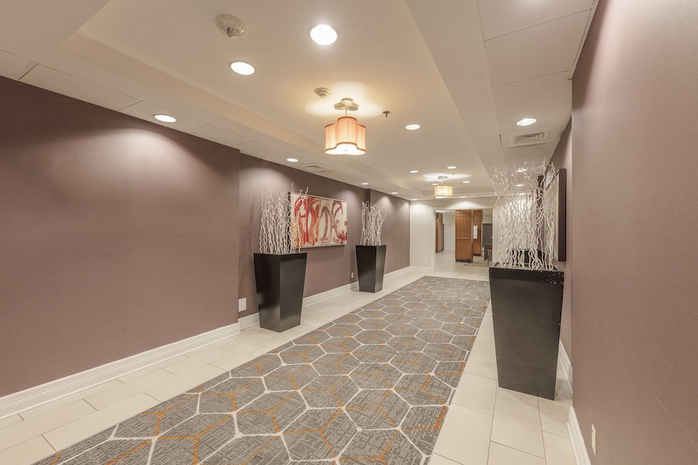 Holiday Inn Austin Midtown by IHG - photo 60