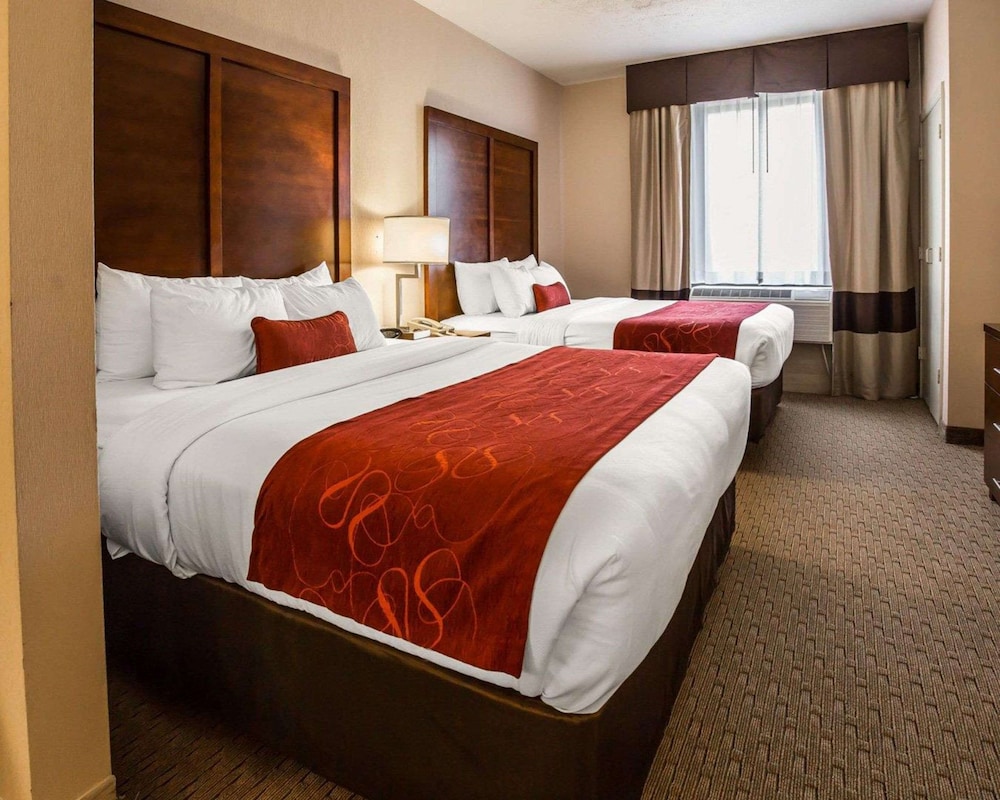 Comfort Suites Stafford Near Sugarland - photo 9